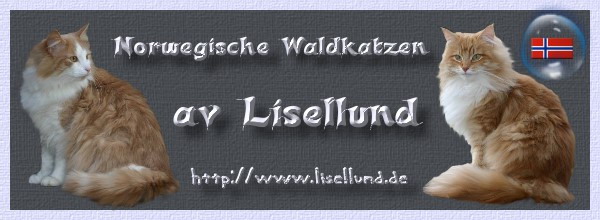 Link to av Lillesund